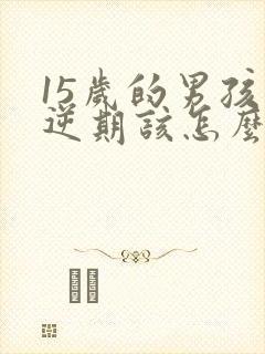 15岁的男孩叛逆期该怎么办