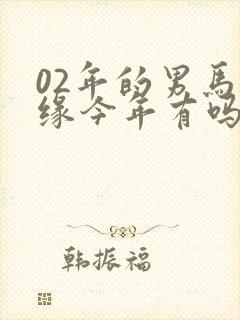 02年的男马姻缘今年有吗