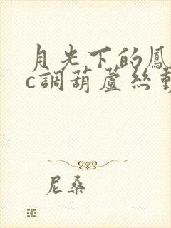 月光下的凤尾竹c调葫芦丝动态曲谱