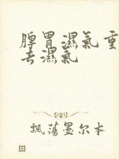 脾胃湿气重如何去湿气