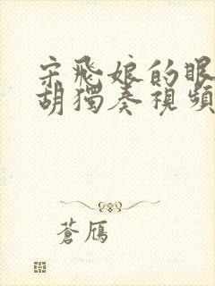 宋飞娘的眼泪二胡独奏视频