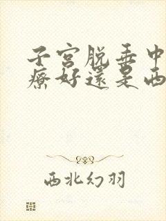 子宫脱垂中医治疗好还是西医