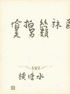 偷拍 丝袜 欧美 另类