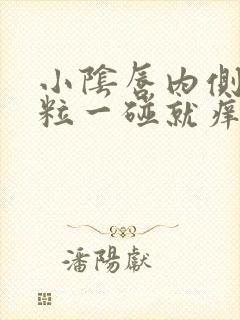 小阴唇内侧长肉粒一碰就痒