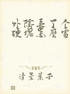 外阴长了个大痘硬块怎么处理