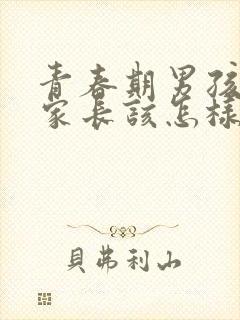 青春期男孩叛逆家长该怎样做封面