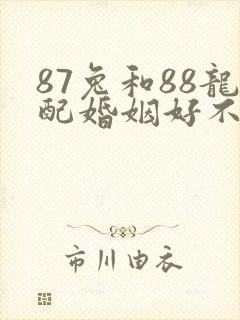 87兔和88龙配婚姻好不好