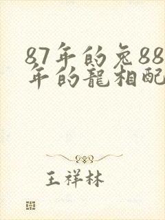 87年的兔88年的龙相配吗