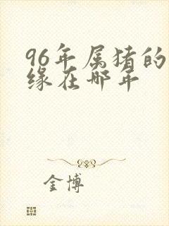 96年属猪的姻缘在哪年封面