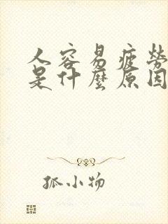 人容易疲劳犯困是什么原因