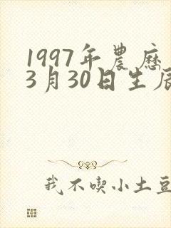 1997年农历3月30日生辰八字封面