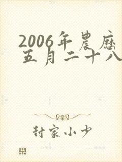 2006年农历五月二十八出生命运男孩