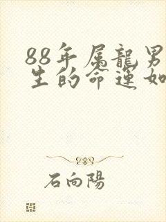 88年属龙男一生的命运如何