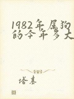 1982年属狗的今年多大岁数封面