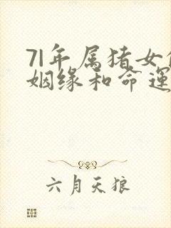 7|年属猪女的姻缘和命运封面