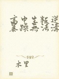 高中生叛逆厌学暴躁无法沟通封面