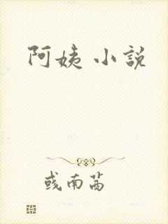 阿姨 小说