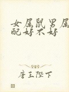 女属鼠男属羊婚配好不好