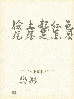 脸上起红色的大疙瘩是怎么回事