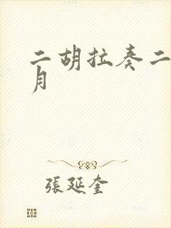 二胡拉奏二泉映月封面