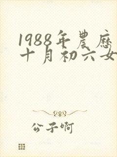 1988年农历十月初六女命运