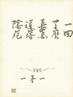 阴道长了一个小疙瘩怎么回事