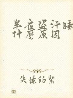 半夜盗汗睡不着什么原因