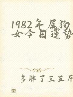 1982年属狗女今日运势如何