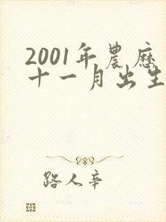 2001年农历十一月出生的命运