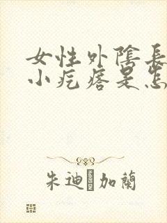 女性外阴长一个小疙瘩是怎么回事封面