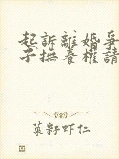 起诉离婚争取孩子抚养权请律师费用多少钱