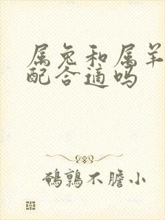 属兔和属羊的婚配合适吗