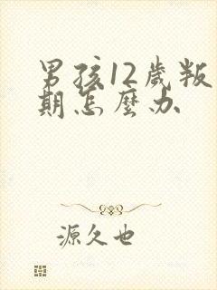 男孩12岁叛逆期怎么办