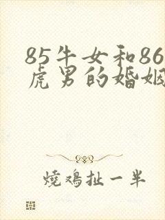 85牛女和86虎男的婚姻怎么样封面