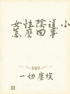 女性阴道小肉粒怎么回事