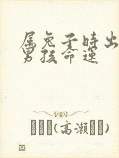 属兔子时出生的男孩命运