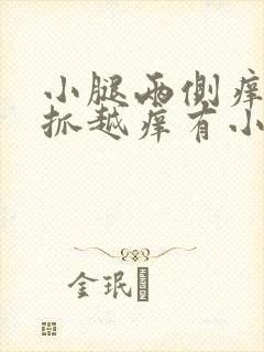 小腿两侧痒痒越抓越痒有小红疙瘩