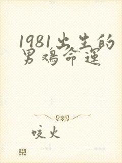 1981出生的男鸡命运