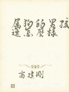 属狗的男孩子命运怎么样