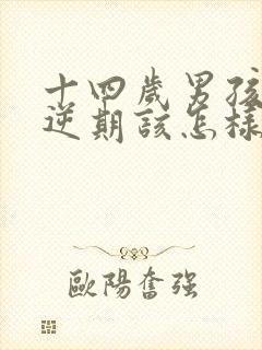 十四岁男孩子叛逆期该怎样沟通