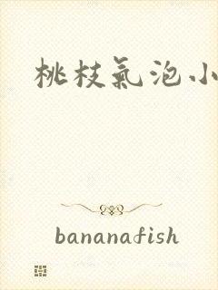桃枝气泡小说