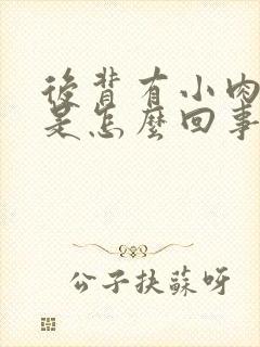 后背有小肉疙瘩是怎么回事封面