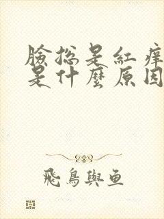 脸总是红痒脱皮是什么原因