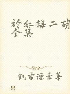 于红梅二胡演奏全集封面