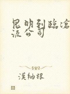 昆明到临沧的物流公司