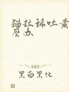 猫拉稀吐黄水怎么办