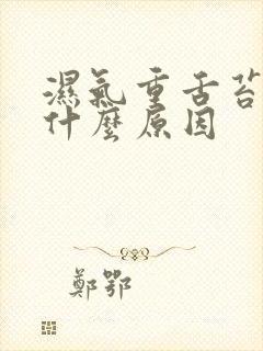 湿气重舌苔黄喝什么原因