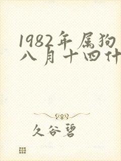 1982年属狗八月十四什么命运