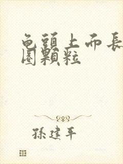 龟头上面长了一圈颗粒