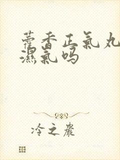 藿香正气丸能去湿气吗